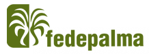 logo_fedepalma